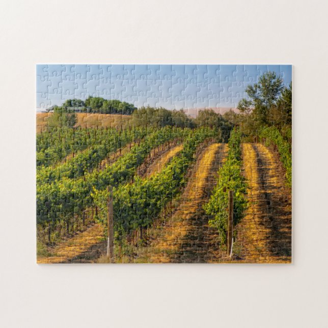 USA, Eastern Washington, Walla Walla Vineyards Jigsaw Puzzle (Horizontal)