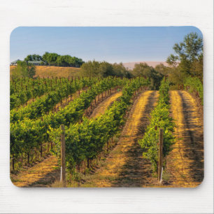 USA, Eastern Washington, Walla Walla Vineyards Mouse Pad