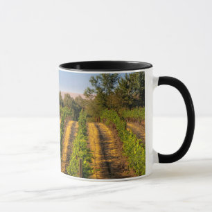 USA, Eastern Washington, Walla Walla Vineyards Mug