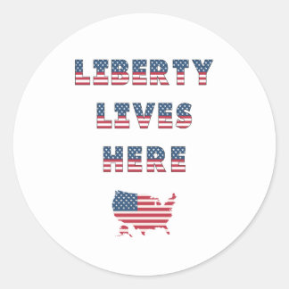 USA Elections Party Collection! Classic Round Sticker