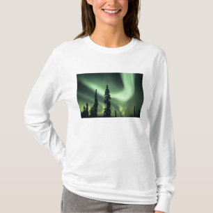 USA, Fairbanks area, Central Alaska, Aurora 2 T-Shirt
