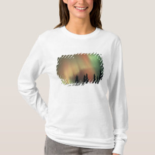 USA, Fairbanks area, Central Alaska, Aurora 3 T-Shirt