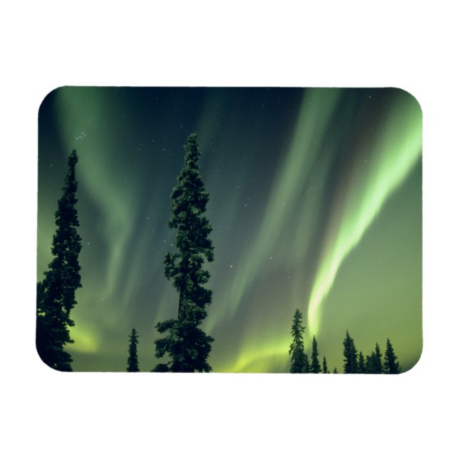 USA, Fairbanks area, Central Alaska, Aurora Magnet (Horizontal)