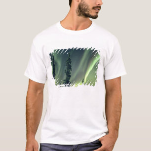 USA, Fairbanks area, Central Alaska, Aurora T-Shirt