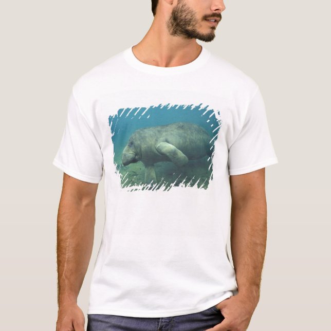 USA, FL, Manatee T-Shirt (Front)