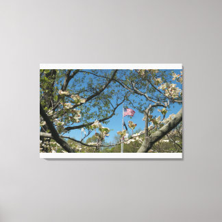 USA flag and Dogwoods Canvas Print