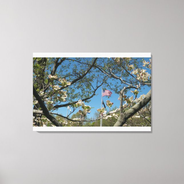 USA flag and Dogwoods Canvas Print (Front)