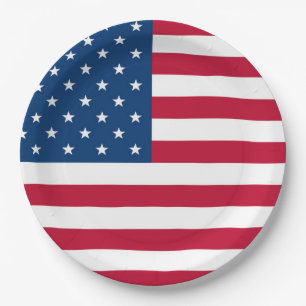 USA Flag design 4th of July Party  Paper Plate