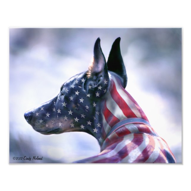 USA Flag Doberman Portrait Photo Print (Front)