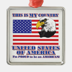 USA Flag & Eagle/This is my Country Metal Ornament