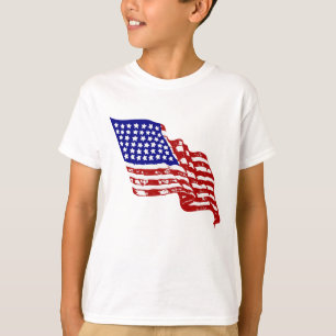 USA flag, flag of USA, American flag T-Shirt