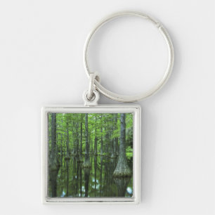 USA, Florida, Apalachicola National Forest, Bald Keychain