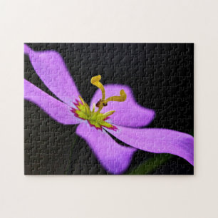 USA, Florida, Big Cypress National Preserve Jigsaw Puzzle