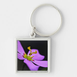 USA, Florida, Big Cypress National Preserve Keychain