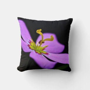 USA, Florida, Big Cypress National Preserve Throw Pillow