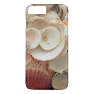 USA, Florida. Close Up Of Shells On Santa Rosa Case-Mate iPhone Case