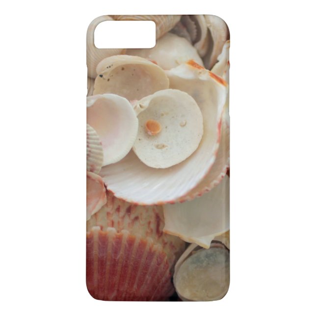 USA, Florida. Close Up Of Shells On Santa Rosa Case-Mate iPhone Case (Back)