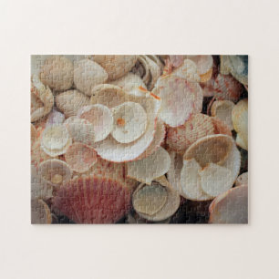 USA, Florida. Close Up Of Shells On Santa Rosa Jigsaw Puzzle