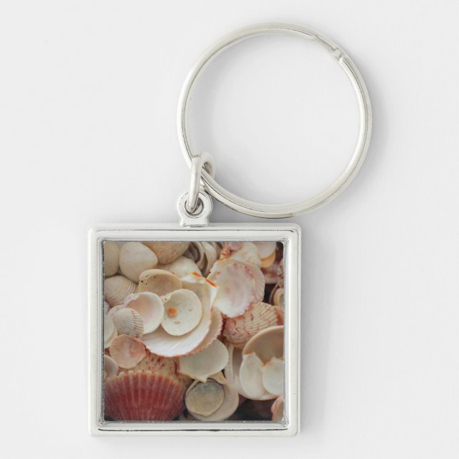 USA, Florida. Close Up Of Shells On Santa Rosa Keychain (Front)