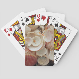 USA, Florida. Close Up Of Shells On Santa Rosa Playing Cards