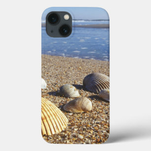 USA, Florida, Coastal Sea Shells iPhone 13 Case