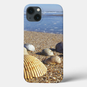 USA, Florida, Coastal Sea Shells iPhone 13 Case