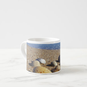 USA, Florida, Coastal Sea Shells Espresso Cup