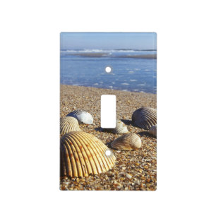 USA, Florida, Coastal Sea Shells Light Switch Cover