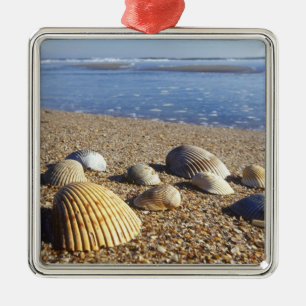 USA, Florida, Coastal Sea Shells Metal Ornament