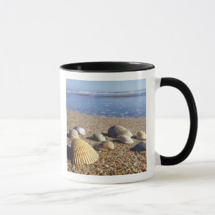 USA, Florida, Coastal Sea Shells Mug