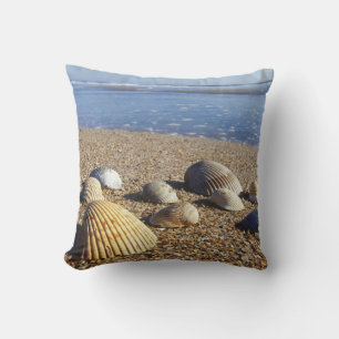 USA, Florida, Coastal Sea Shells Throw Pillow