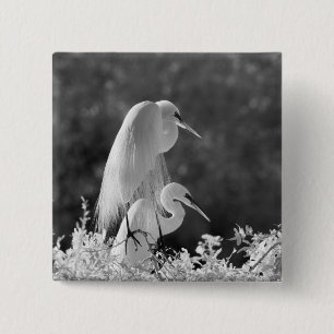 USA, Florida, Great Egret (Ardea alba) infrared 2 Inch Square Button