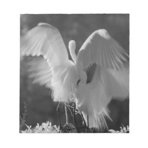 USA, Florida, Great Egret (Ardea alba) infrared 3 Notepad