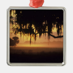 USA, Florida, Lake Kissimmee. Sunrise silhouette Metal Ornament