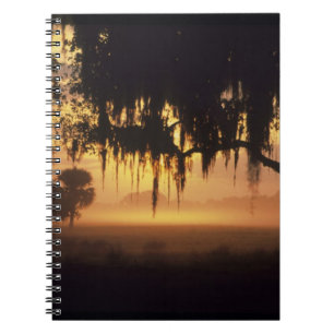 USA, Florida, Lake Kissimmee. Sunrise silhouette Notebook