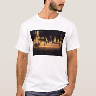 USA, Florida, Lake Kissimmee. Sunrise silhouette T-Shirt