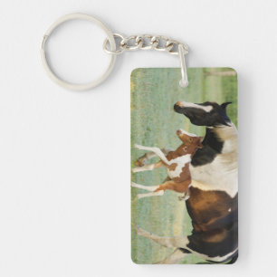 USA, Florida, Newborn Paint filly Keychain