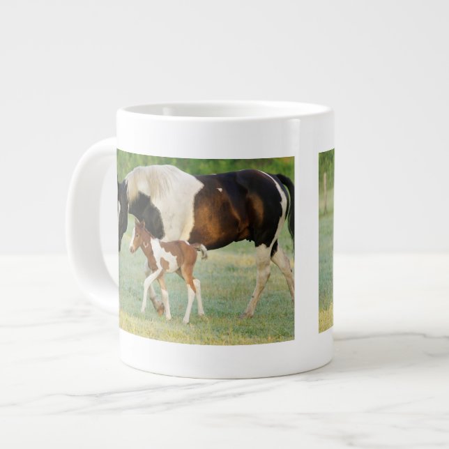 USA, Florida, Newborn Paint filly Large Coffee Mug (Front Left)