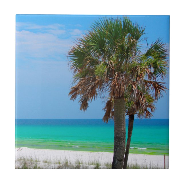 USA, Florida. Palm Trees On Emerald Coast Tile (Front)