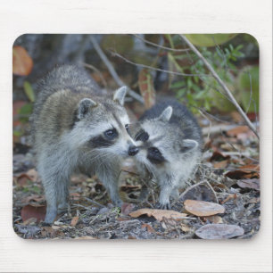 USA, Florida, Sanibel, Ding Darling National Mouse Pad