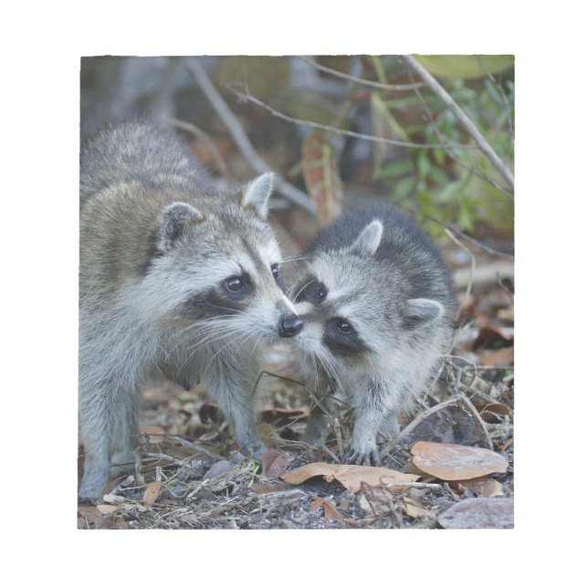 USA, Florida, Sanibel, Ding Darling National Notepad (Front)