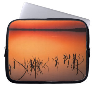 USA, Florida. Silhouettes of dead tree branches Laptop Sleeve