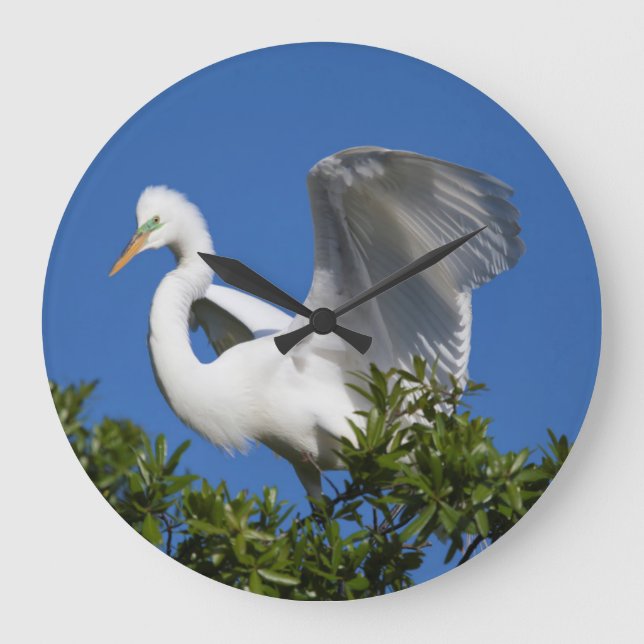 USA, Florida, St. Augustine, Egret Large Clock (Front)