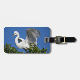 USA, Florida, St. Augustine, Egret Luggage Tag