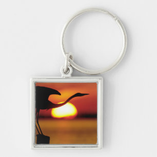 USA, Florida, St. Petersburg, Fort De Soto Keychain