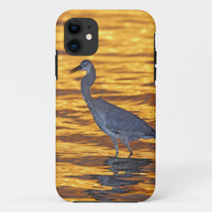 USA, Florida, St. Petersburg, Fort De Soto Park. iPhone 11 Case
