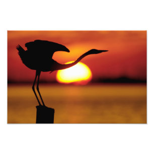 USA, Florida, St. Petersburg, Fort De Soto Photo Print