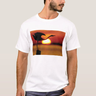 USA, Florida, St. Petersburg, Fort De Soto T-Shirt
