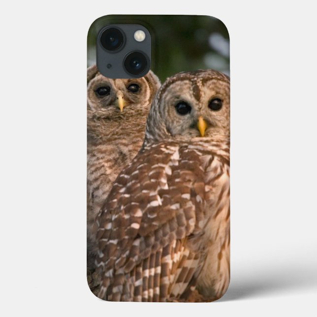 USA, Florida, Viera Wetlands. Three barred Case-Mate iPhone Case (Back)