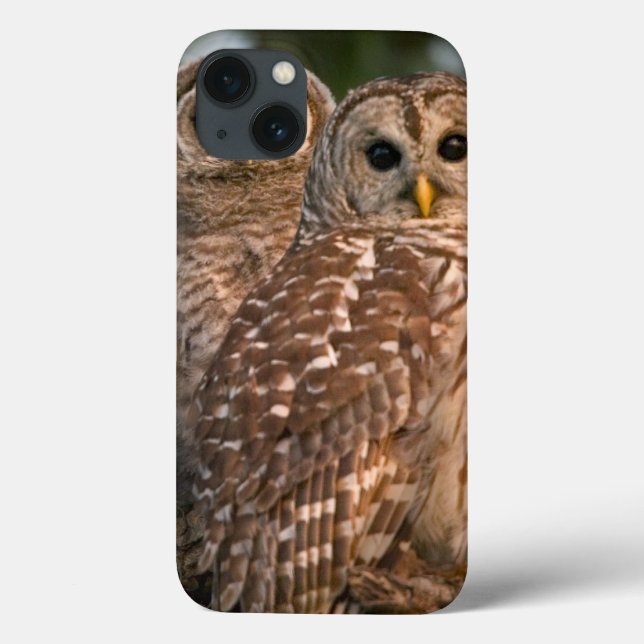 USA, Florida, Viera Wetlands. Three barred Case-Mate iPhone Case (Back)